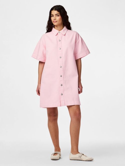 17162370 Roseate Spoonbi