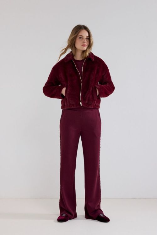 C46-21-801 6 004580 Pomegran