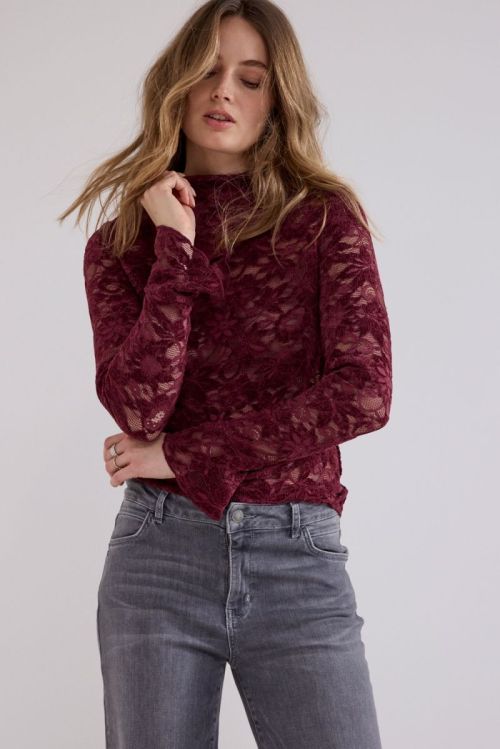 C65-21-401 6 004580 Pomegran